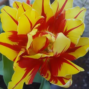 Meet your Posher, Kelva